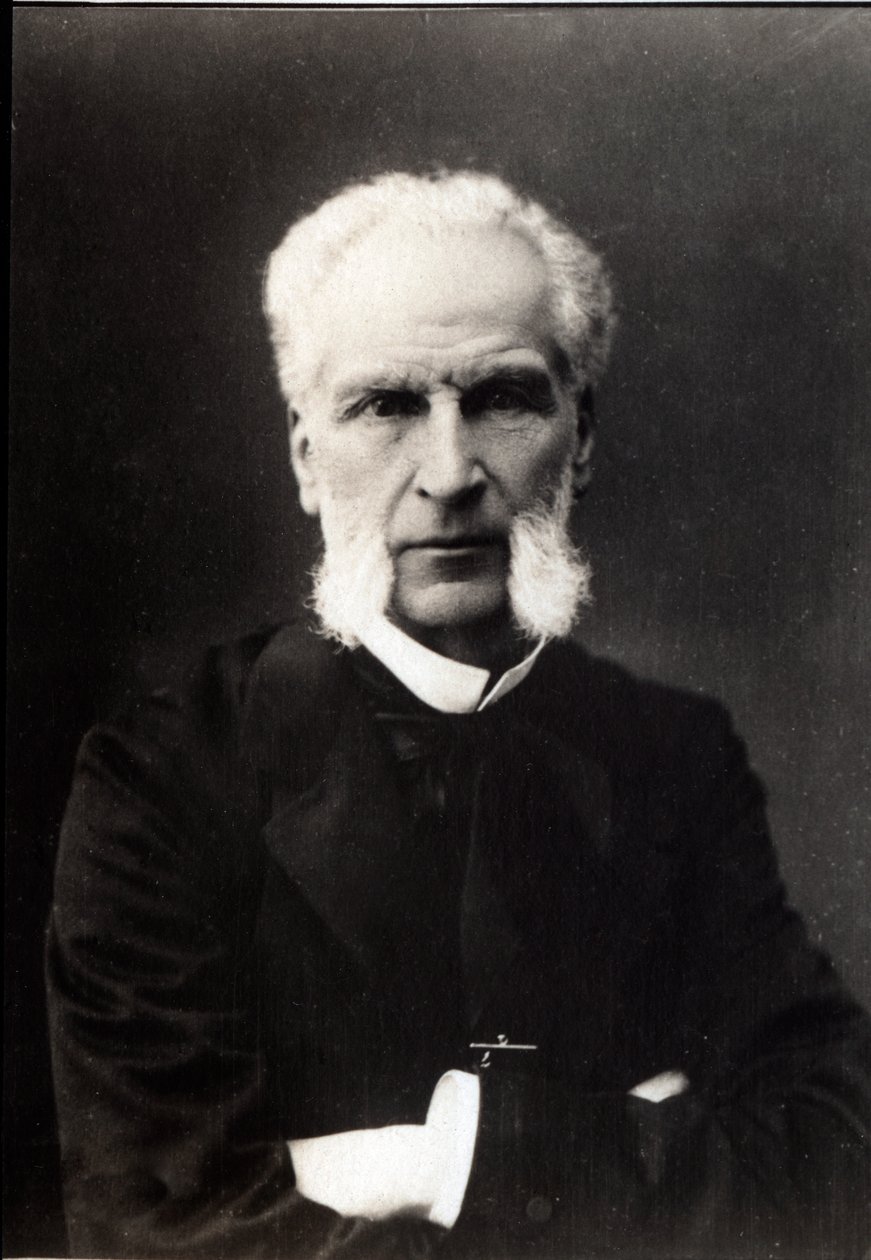 Portrett av Aime Joseph Edmond Rousse (1817-1906), fransk advokat. av French Photographer