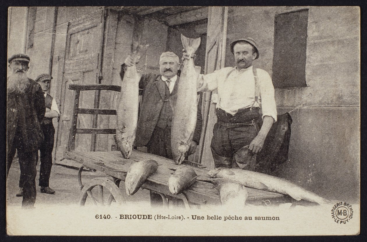 Postkort som viser en god fangst av laks i Brioude, Haute-Loire, ca. 1900 av French Photographer