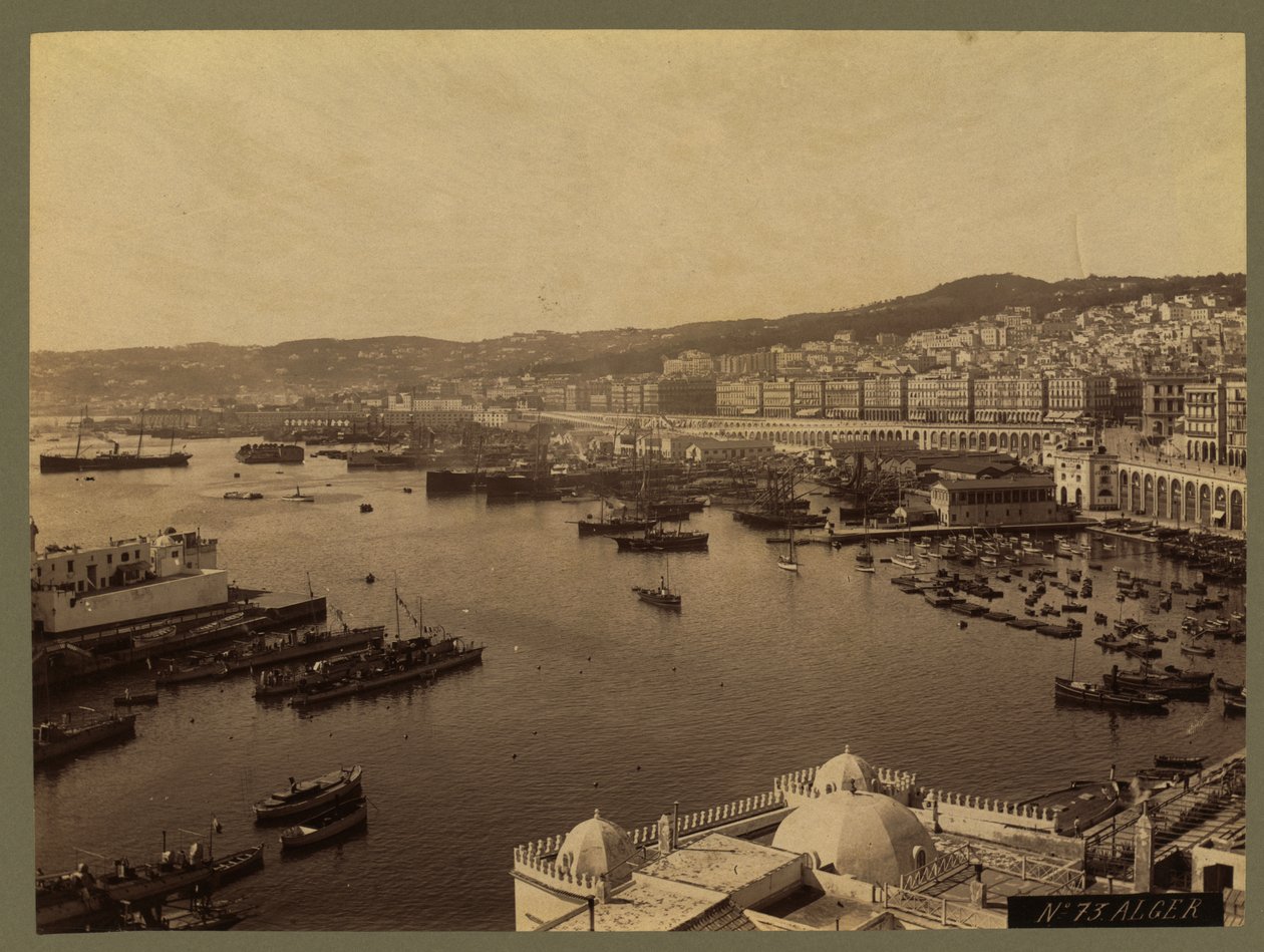 Utsikt over Alger, ca. 1860-1900 av French Photographer