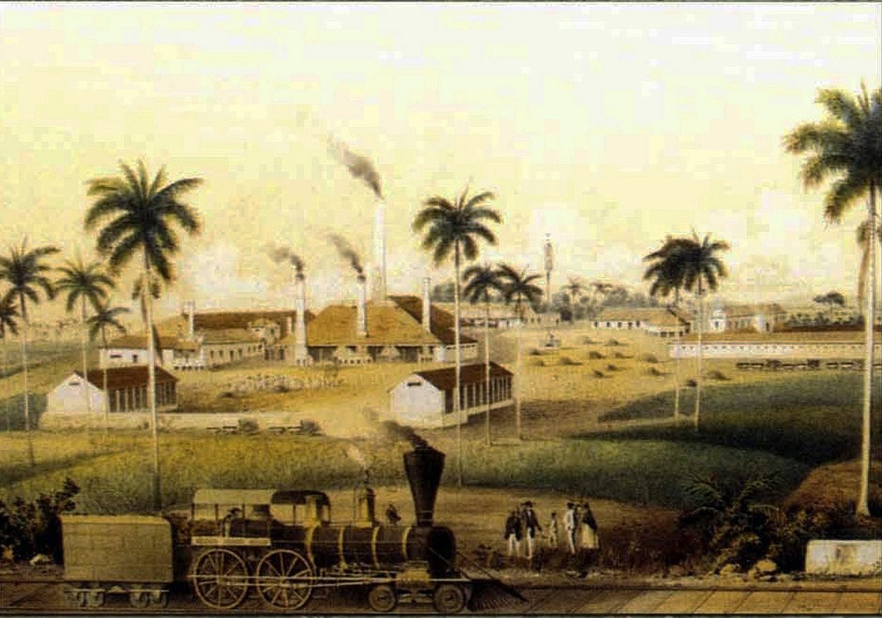 14784N Produksjon av rom i Caribbean Collection av French School