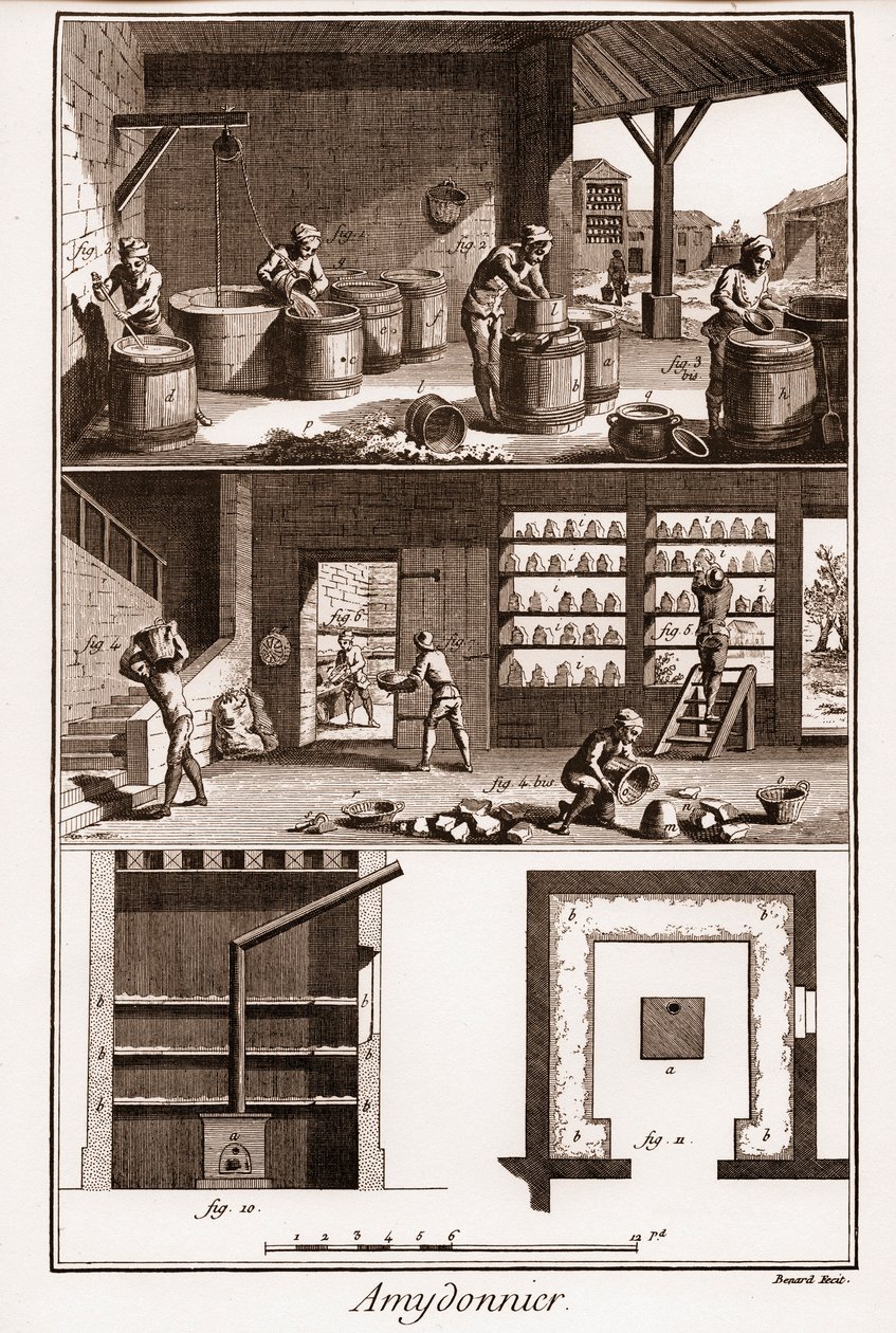 AMDONIER - Amydonnier - "" The Great Encyclopedia, eller Dictionnaire Raisonne des Sciences, des Arts et des Metiers" (Encyclopedia or Dictionary of the Sciences, Arts and Professions) av Denis Diderot (1713-1784) og Jean d