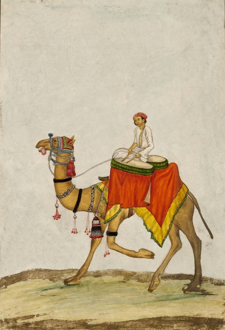 En kamel med sin rytter som spiller trommer, ca. 1840 (gouache) av French School