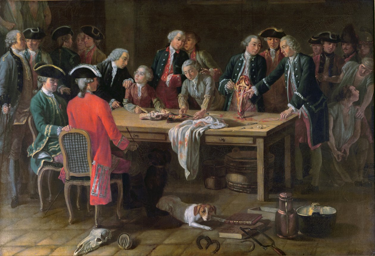 En leksjon i hippatrisk anatomi med Philippe-Etienne Lafosse (1738-1820) av French School