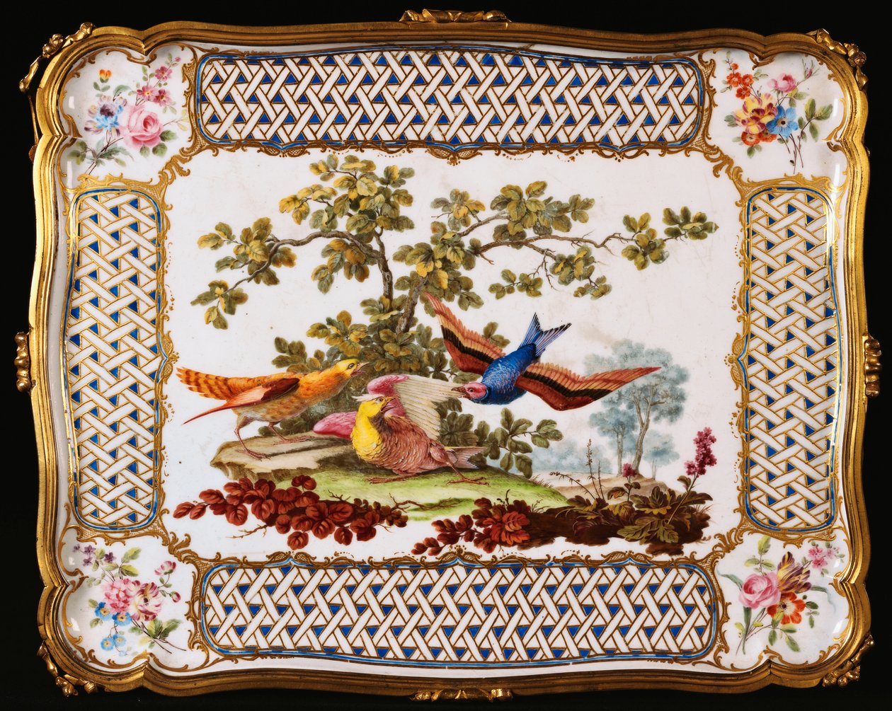 Et Louis XV Sevres-brett dekorert med tre eksotiske fugler i et landskap, som danner toppen av et bord en kafé, 1761 av French School