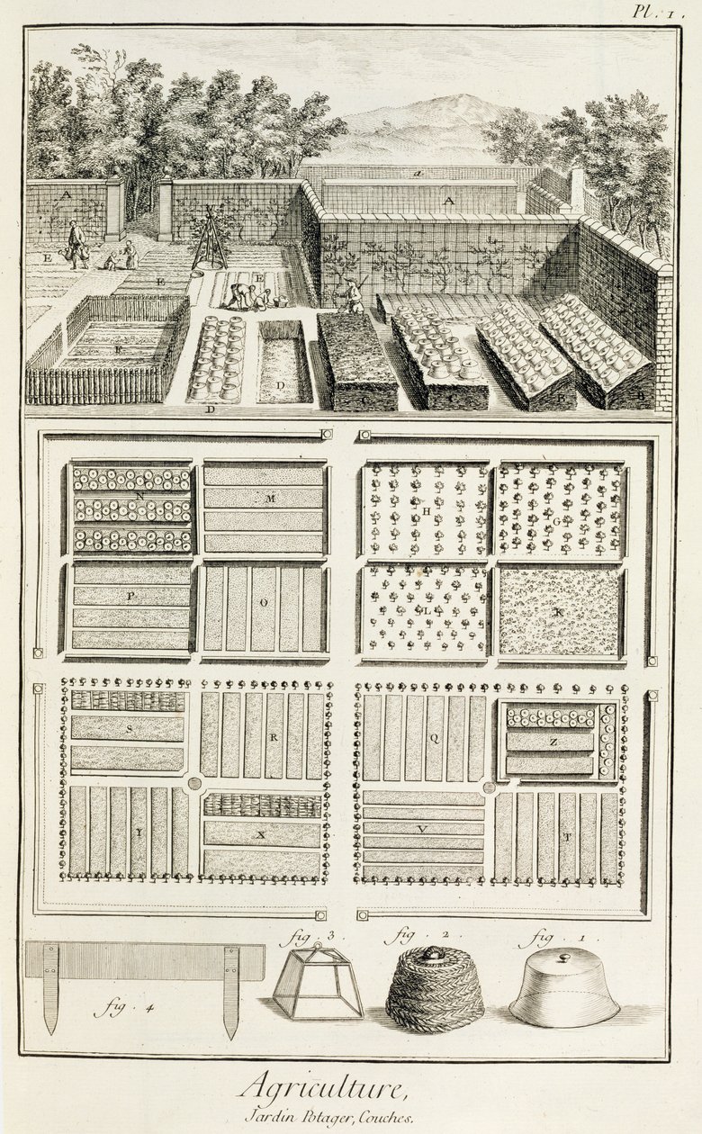 En grønnsakshage, fra The Encyclopedia of Science, Art and Engineering av Denis Diderot (1713-84), ca. 1770 av French School