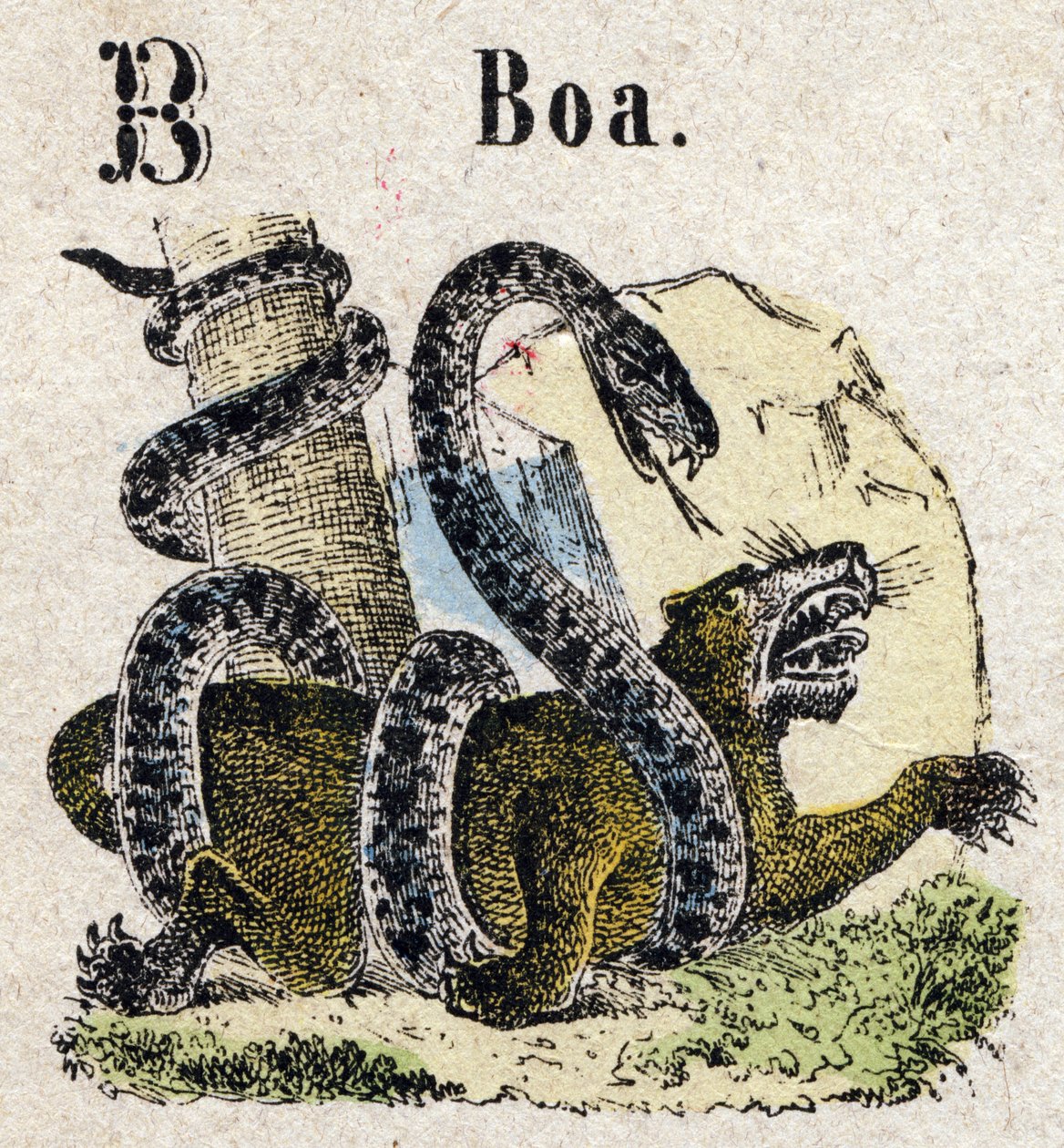 Abecedary. Bokstav B som Boa. Lite encyklopedisk alfabet, populær serie. Epinal avbildning, slutten av 1800-tallet av French School