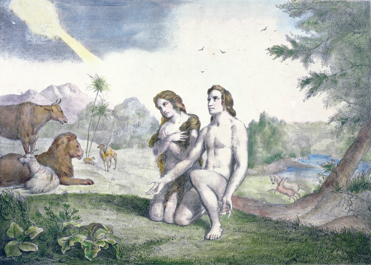 Adam og Eva i Edens hage, sent på 1800-tallet (fargegravering) av French School