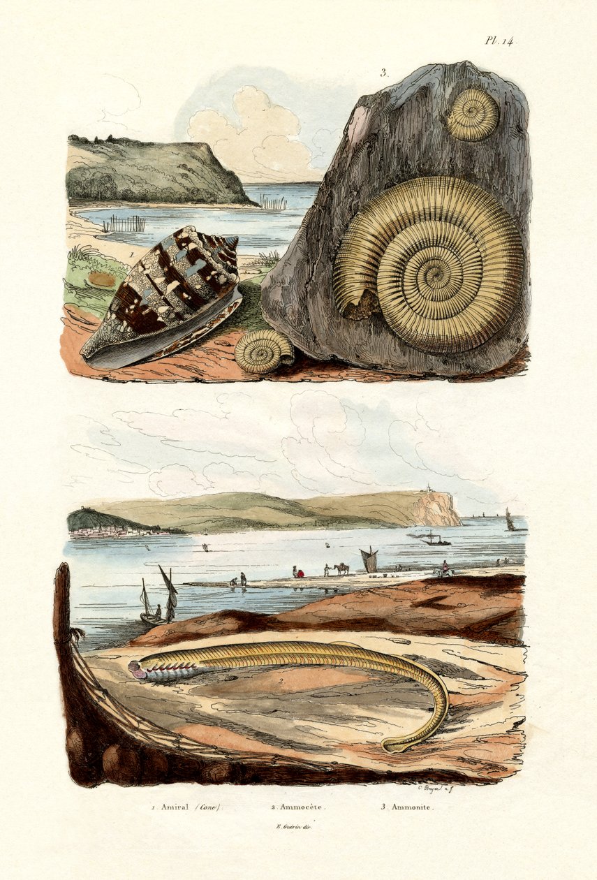 Admiral Cone, 1833-39 av French School