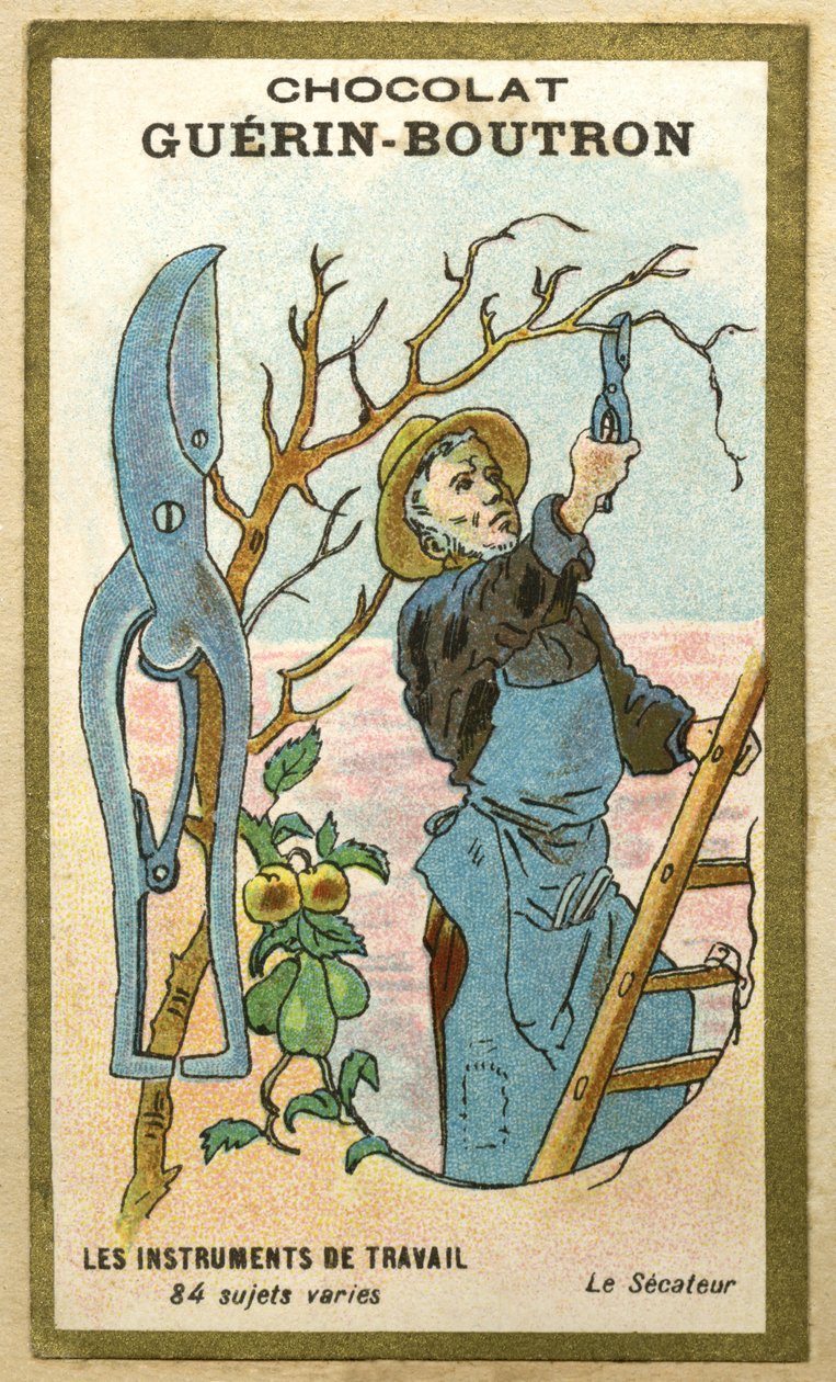Reklamekromolitografi av Guerin Boutron-sjokolade, arbeidsinstrumenter, 84 varierte emner, beskjæringssaks (kromolitografi) av French School