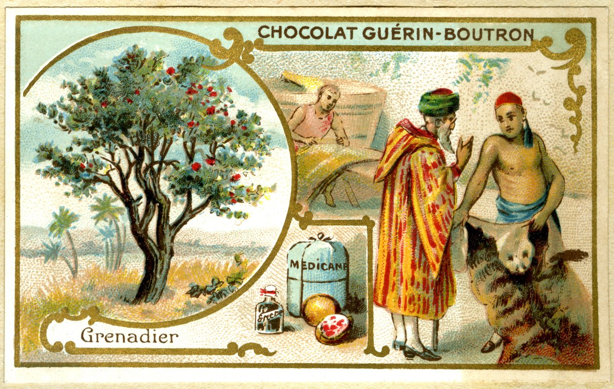 Reklamekromolitografi av Guérin Boutron-sjokolade (kromolitografi) av French School