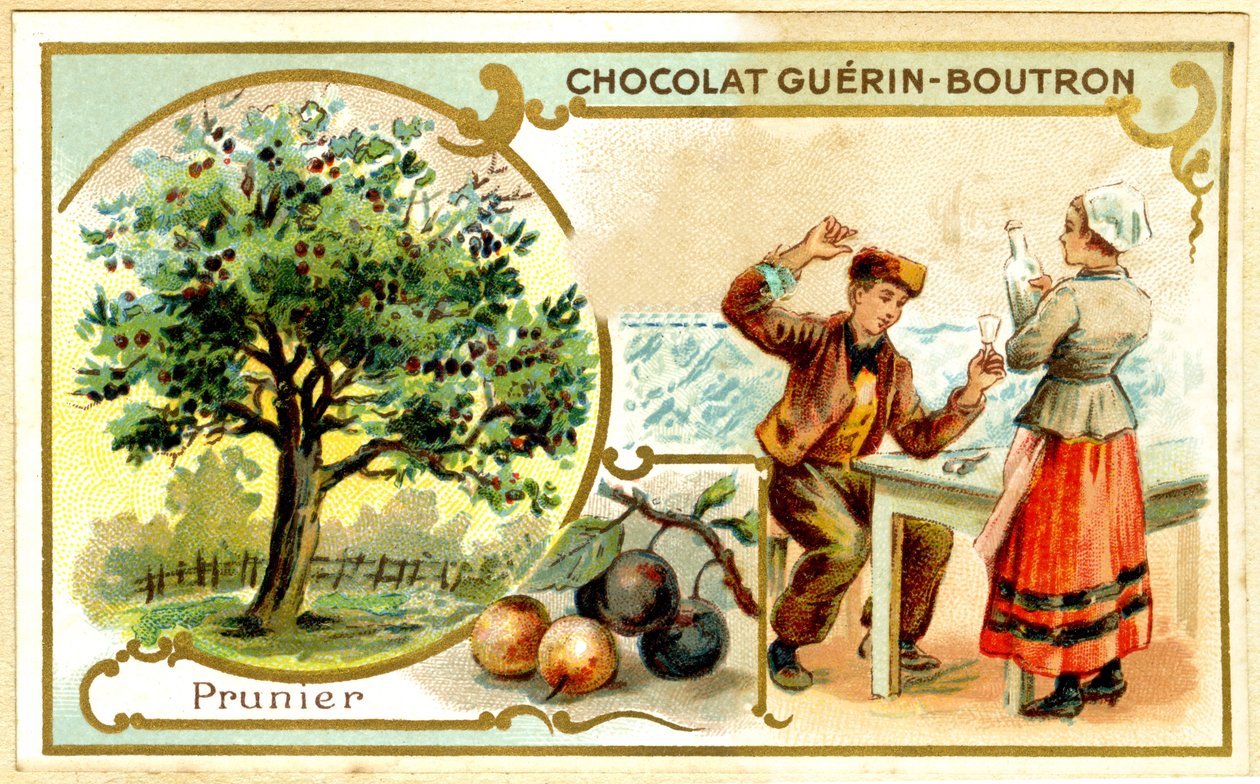Reklamekromolitografi av Guérin Boutron-sjokolade (kromolitografi) av French School