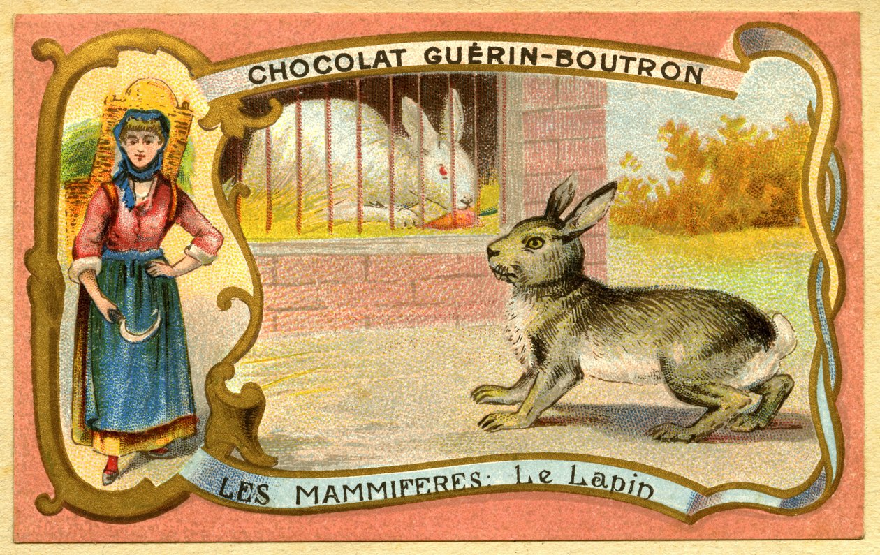 Reklamekromolitografi av sjokolade Guerin Boutron, Pattedyr, Kaninburet og vill, warren av French School