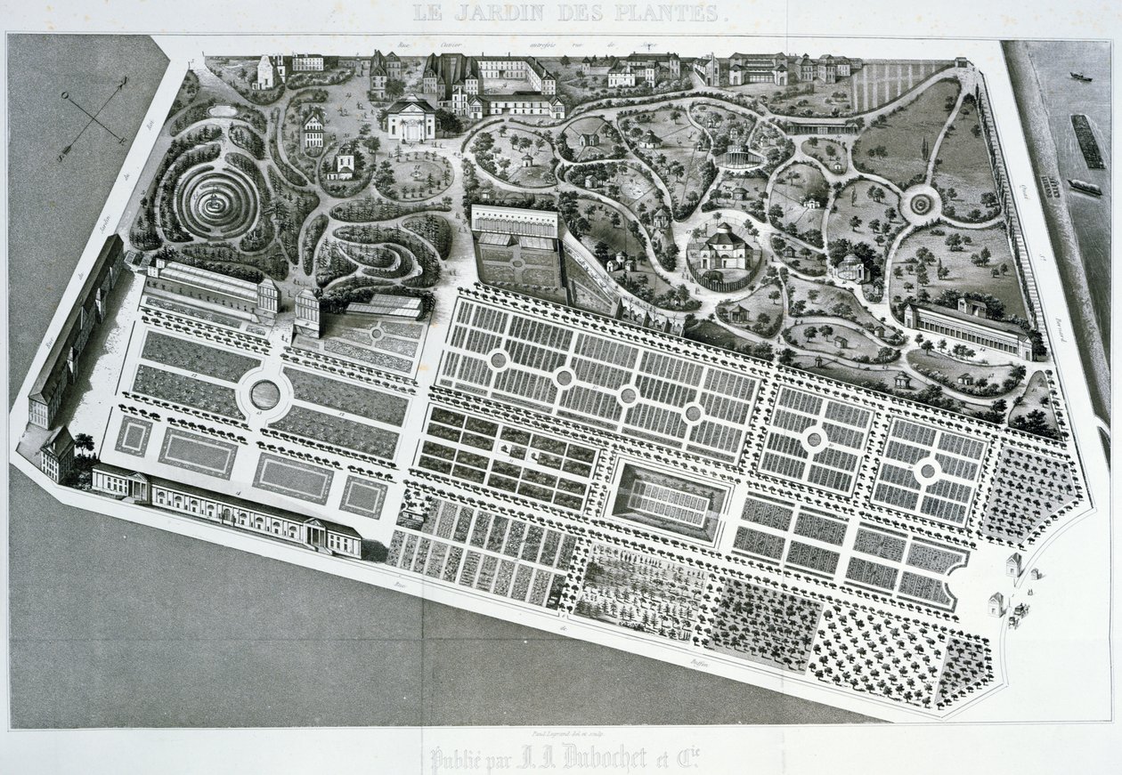 Luftfoto av planen til Jardin des Plantes i Paris, 1842 av French School
