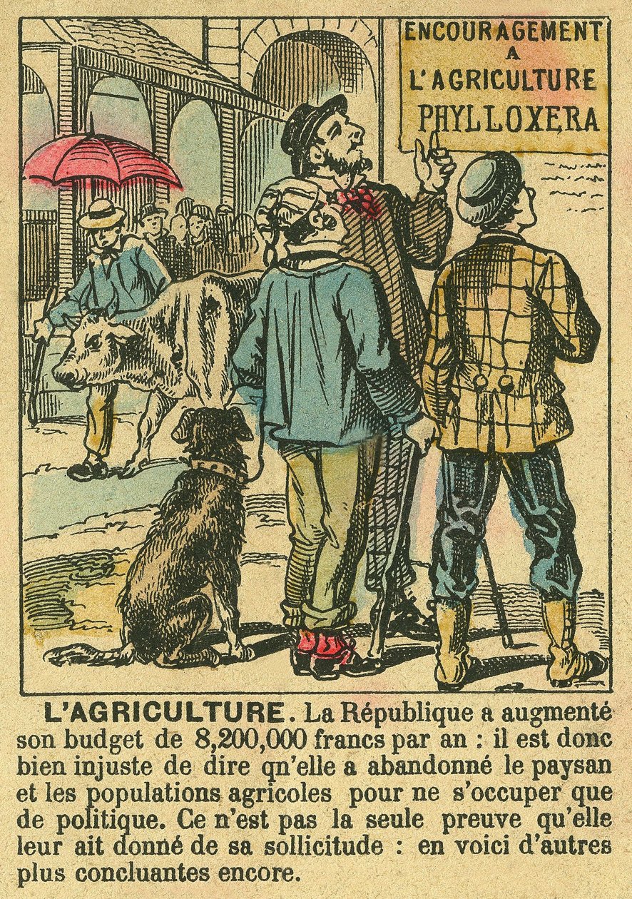 Landbruk illustrerer fordelene med Den tredje republikk på landbruksinvesteringer og dens bekymring for bondebefolkningen. Gravering, i "" Le Figaro, supplement"", 30.03.1889, Paris. Coll. Selva. av French School