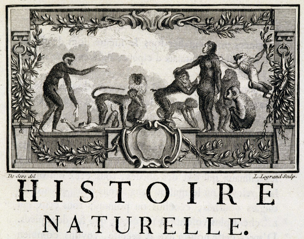 Allegori om naturhistorie på apene - i "" Natural, generell og spesiell historie"" av Buffon av French School