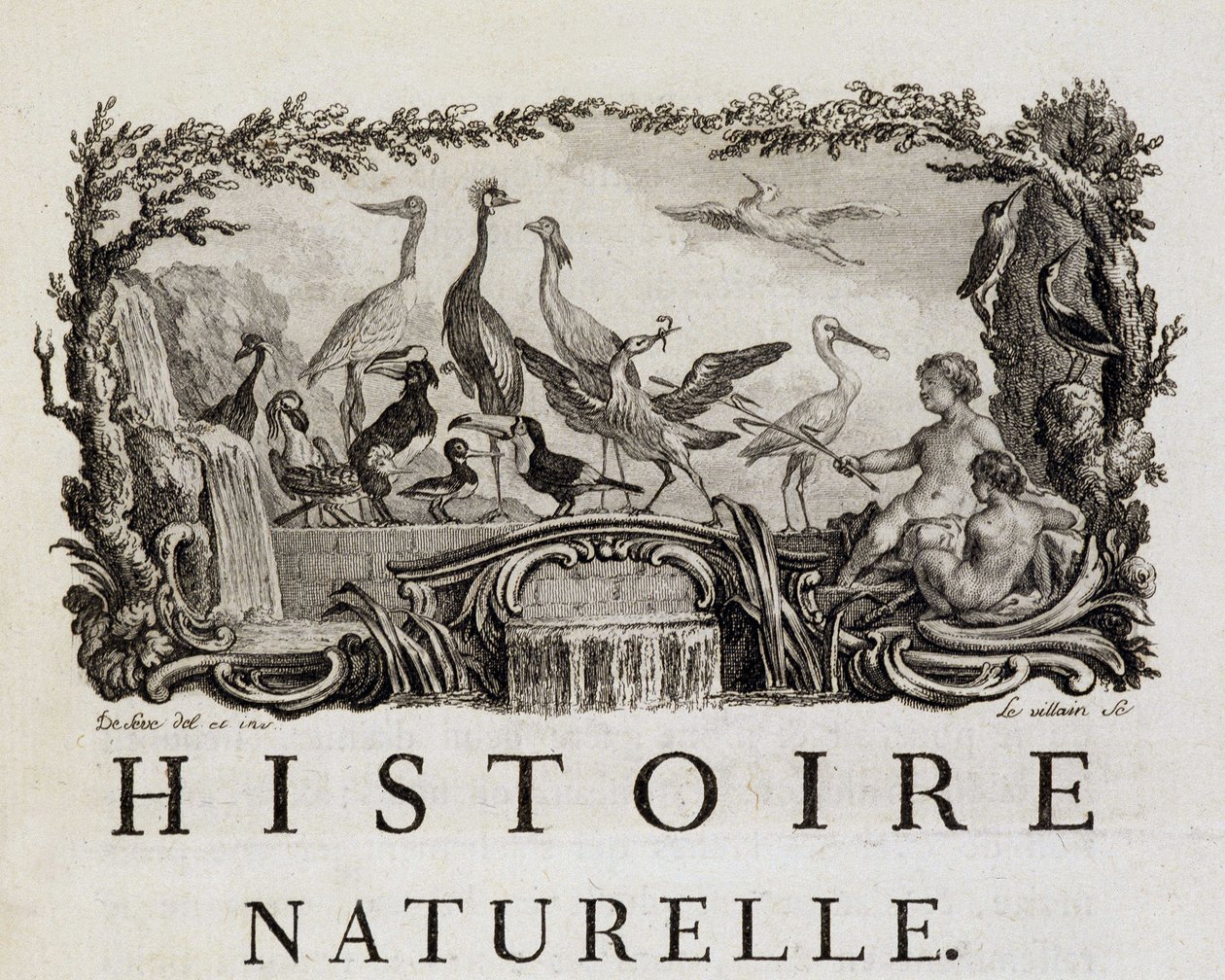 Allegory of Natural History on Birds - in "" Natural, General and Particular History"" av Buffon av French School
