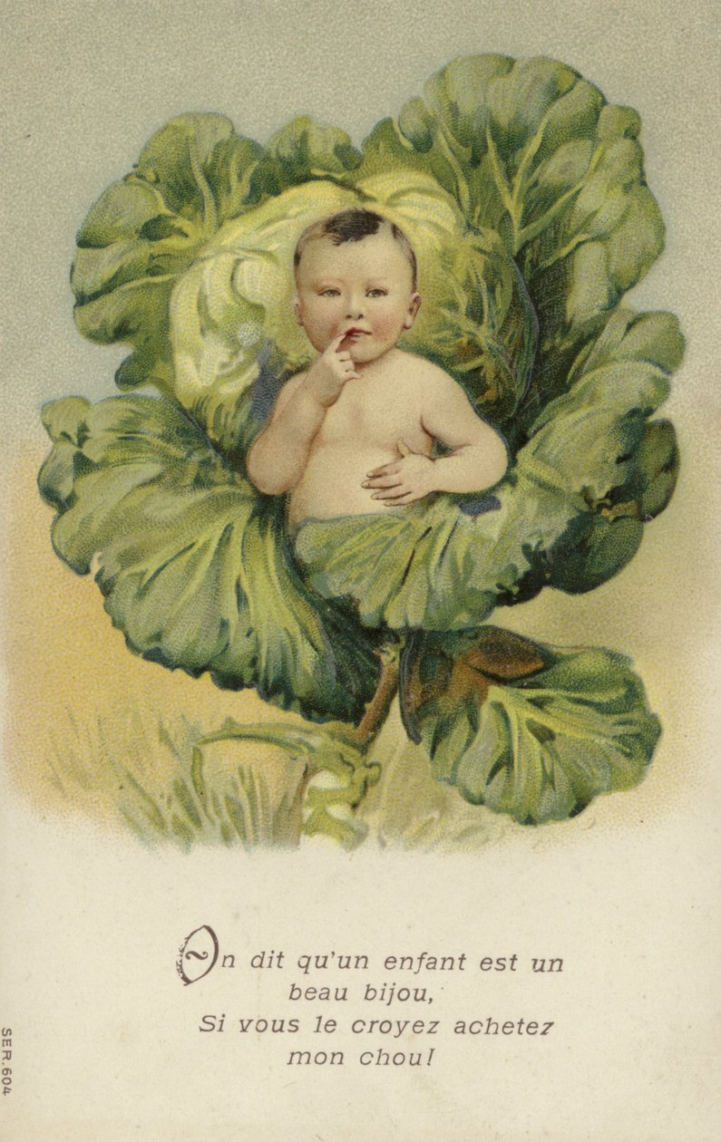 Baby i en kål (chromolitho) av French School