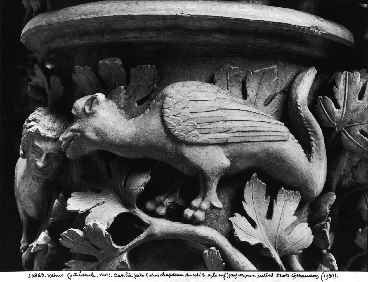 Basilisk, hovedstad fra katedralen Notre Dame i Reims (gipsstøpt av stein) av French School