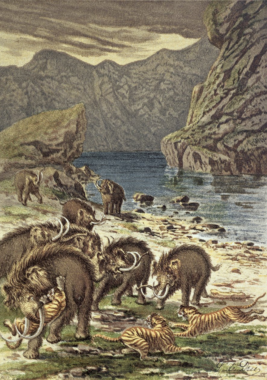 Kamp mellom mammuter og sabeltannede tigre, fra Le Monde Avant la Creation dHomme av Camille Flammarion, 1886 av French School