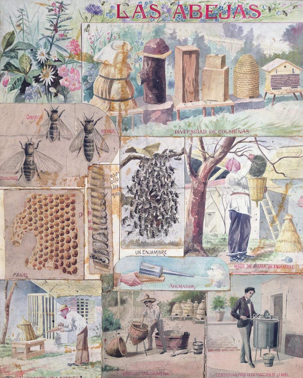Bee Culture, illustrasjon laget i Frankrike beregnet på publisering i Mexico, ca. 1900 av French School