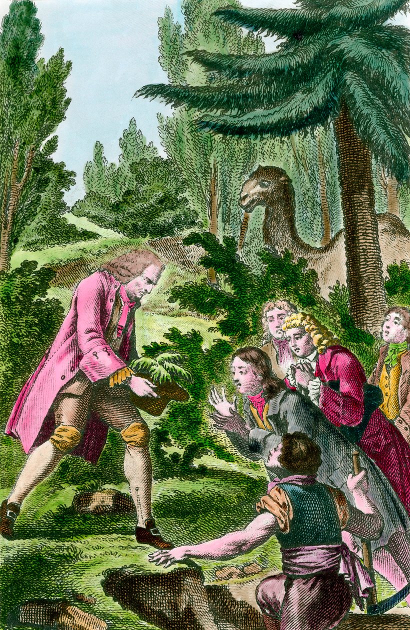 Bernard de Jussieu (1699-1777) plantet sedertre fra Libanon i hagen med planter i Paris i 1734. Gravering fra 1700-tallet. av French School