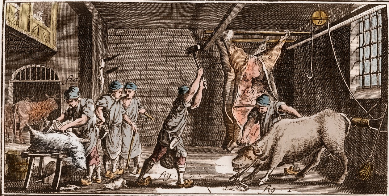 Boucher - Butchery - Butchery - "" The Great Encyclopedia, eller Dictionnaire Raisonne des Sciences, des Arts et des Metiers" (Encyclopedia or Dictionary of the Sciences, Arts and Professions) av Denis Diderot (1713-1784) og Jean d'Alemb av French School
