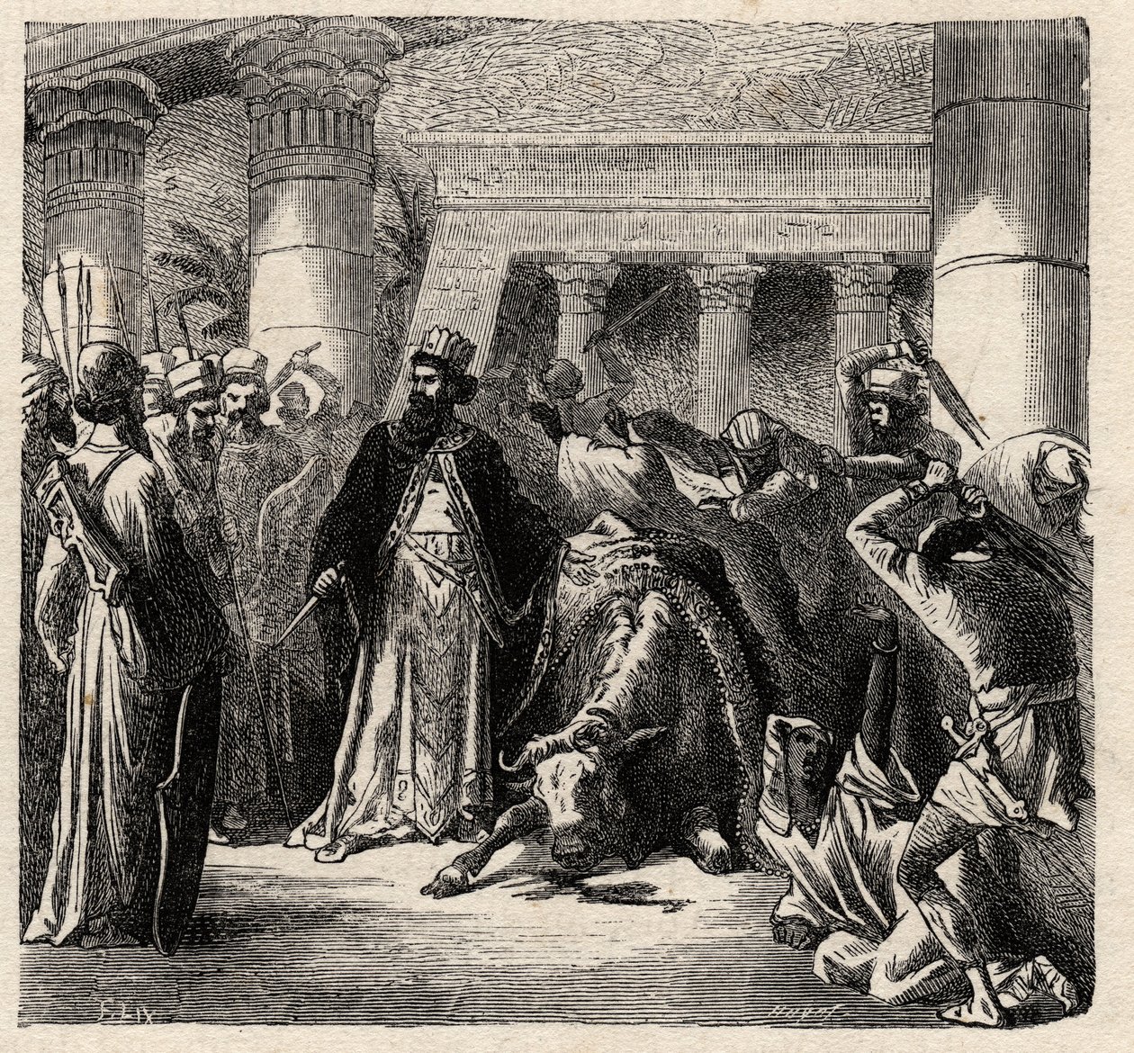 Cambyses II, hersker over Achaemenid-perserne dreper Apis, Egypternes hellige okse - Cambyses eller Cambyse II (530-522 f.Kr.) gravering fra "" L