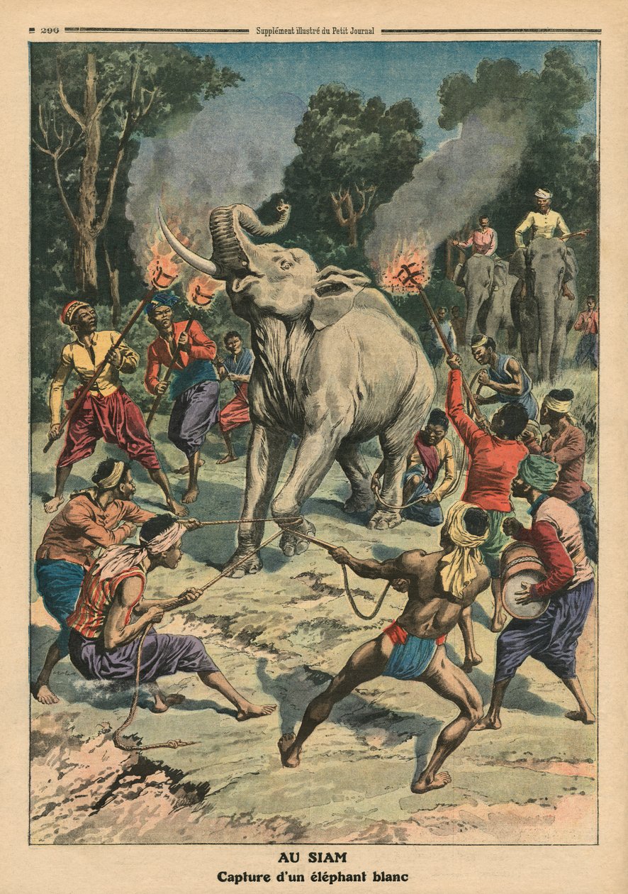 Å fange en hvit elefant i Siam, illustrasjon fra 