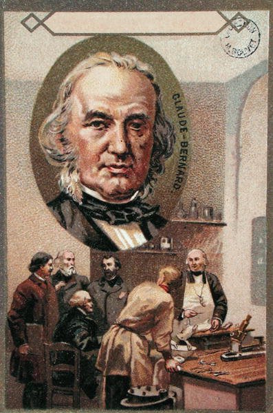 Claude Bernard (1813-78) (chromolitho) av French School