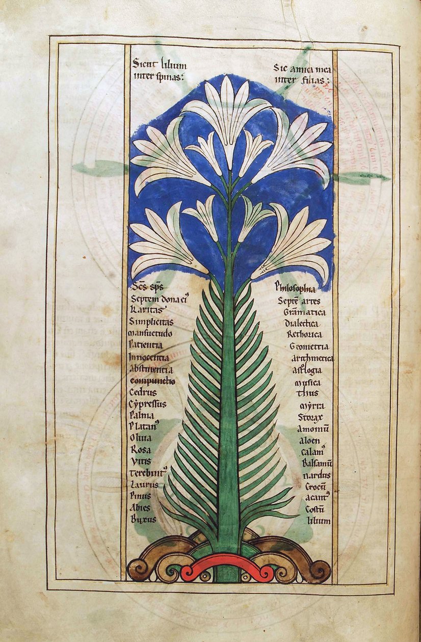 Torsk. Guelf. 1 Gud. lat. (31v) , A Lily (lily longiflorum), fra Liber Floridus av Lambert de Saint-Omer c.1120 av French School