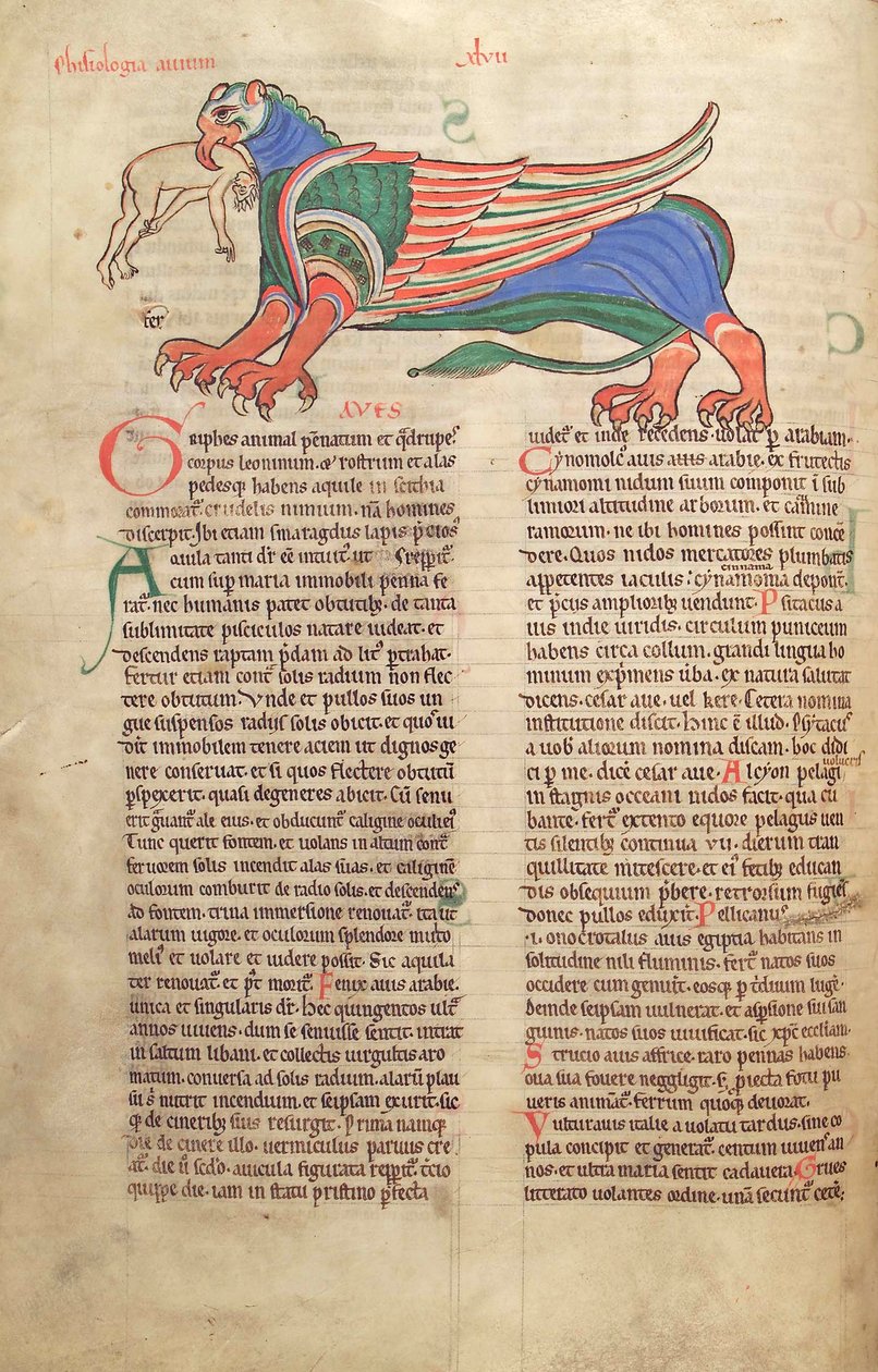 Torsk. Guelf. 1 Gud. lat. 39v, A Griffin Devouring a Man, fra Liber Floridus av Lambert de Saint-Omer c.1120 av French School