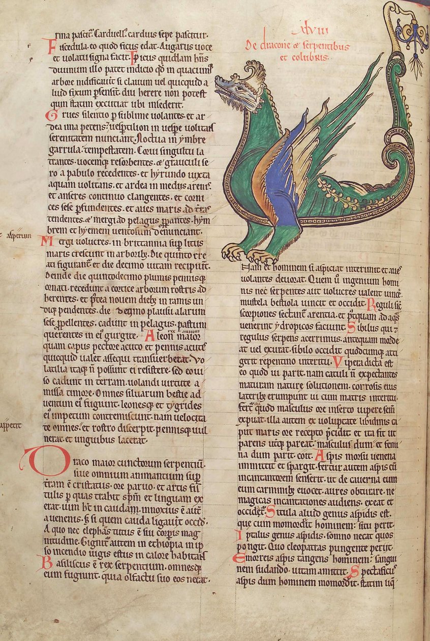 Torsk. Guelf. 1 Gud. lat. 40v, tekst med illustrasjon av en drage, fra Liber Floridus av Lambert de Saint-Omer c.1120 av French School
