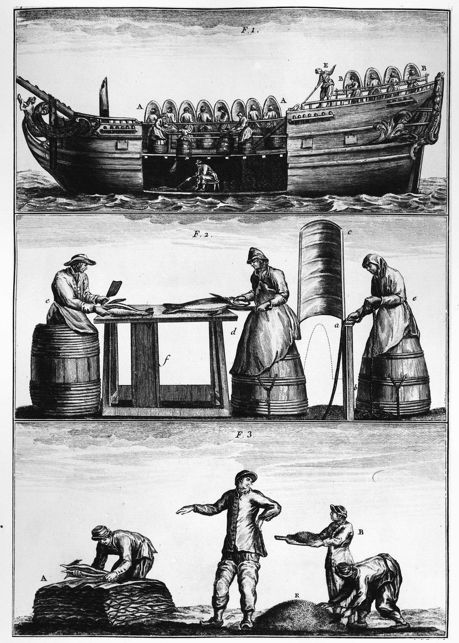 Torskefiske: lasting, skjæring og salting av fisk - i "General Treatise on Fisheries" av Duhamel du Monceau av French School