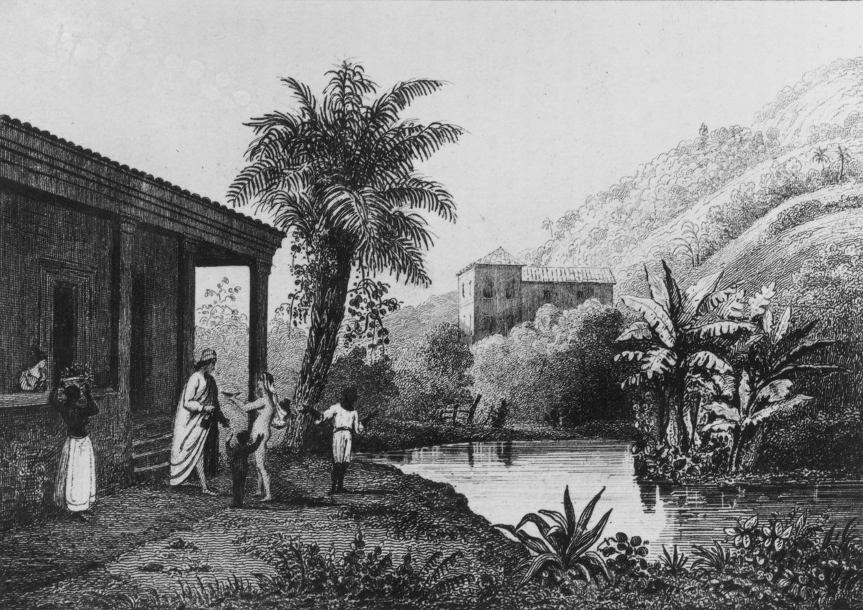 Coffee Plantation, fra 