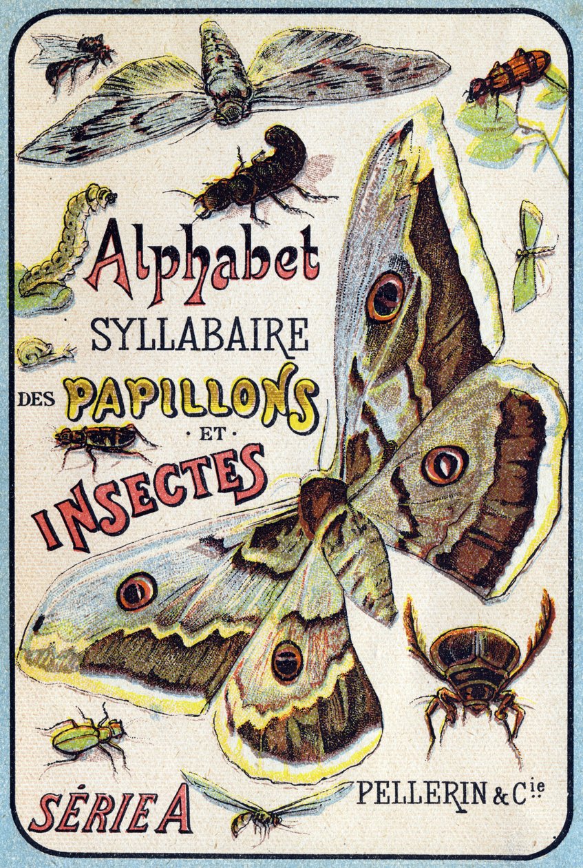 Omslag til "Syllabary alfabet av sommerfugler og insekter"". Serie A. Pellerin et Cie, trykkerier-utgivere, Epinal, slutten av 1800-tallet. Kromolitografier. Lite 8-siders reklamealbum som inneholder et pensum og et bildemateriale ledsaget a av French School