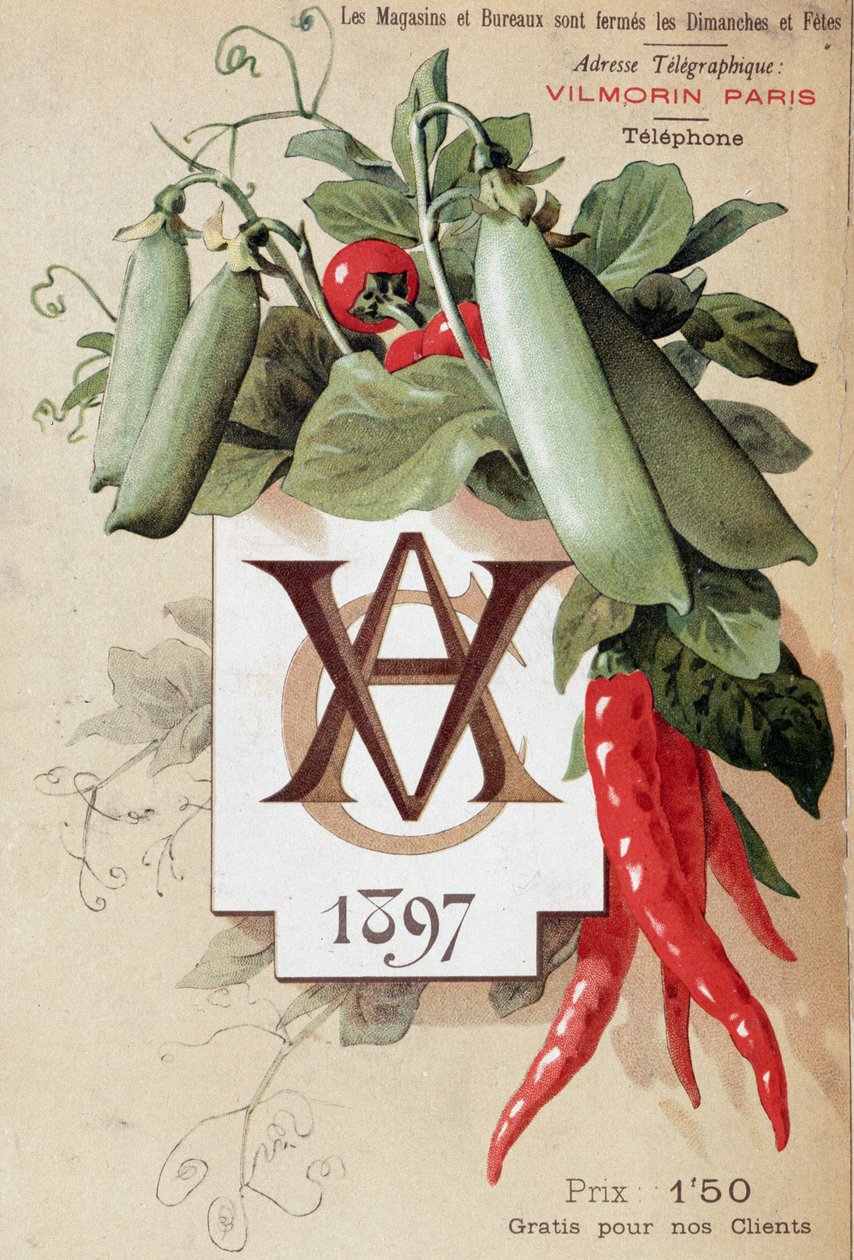  av French School