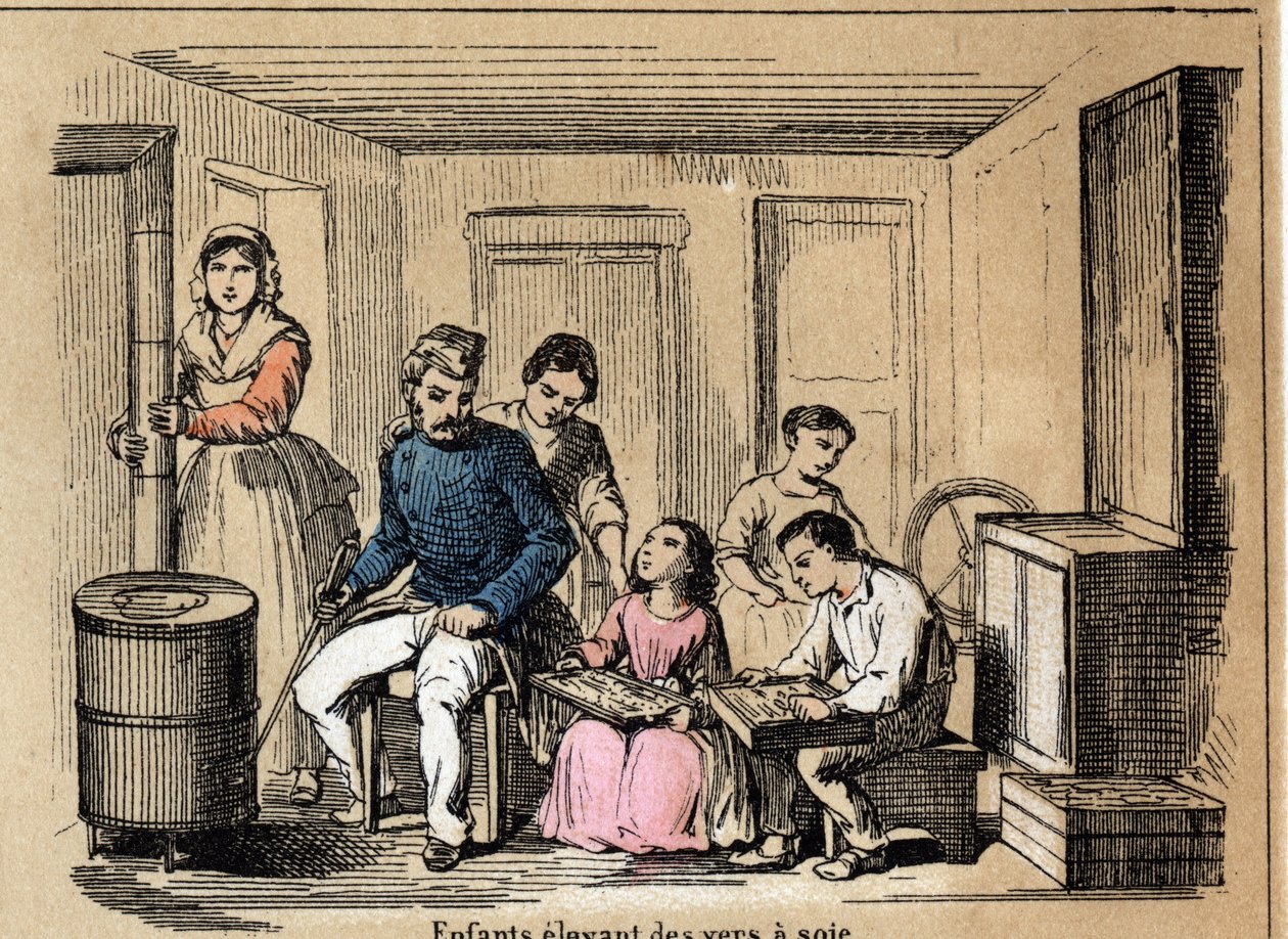 Culture description and silk products: children raising silkworms. Plate “” la soie”” in “” les Recreations instructives”” Synoptique painting by Jules DELBRUCK, engraving from 1860. Private collection. av French School