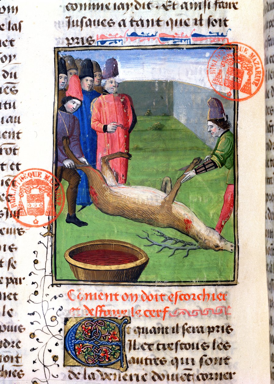 Kutte bena til en død hjort, fra Livre de la Chasse av Gaston Phebus de Foix (1331-91) av French School