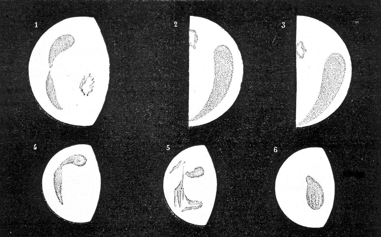 Mørke flekker og lyse flekker av Venus; 1, 2, 3, flekker observert av D. Cassini i 1667 og 1667; 4, 5, 6, flekker observert av M. Langdon i 1871 - i "" Le Ciel" av Amédée Guillemin av French School