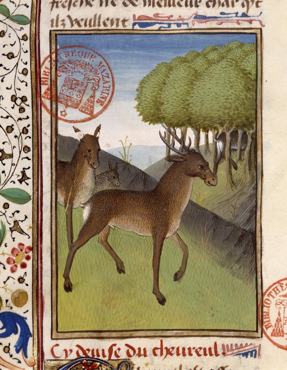 Hjort og hjort - i "" The Hunting Book of Gaston Phoebus, Count of Foix, Lord of Béarn"" av French School
