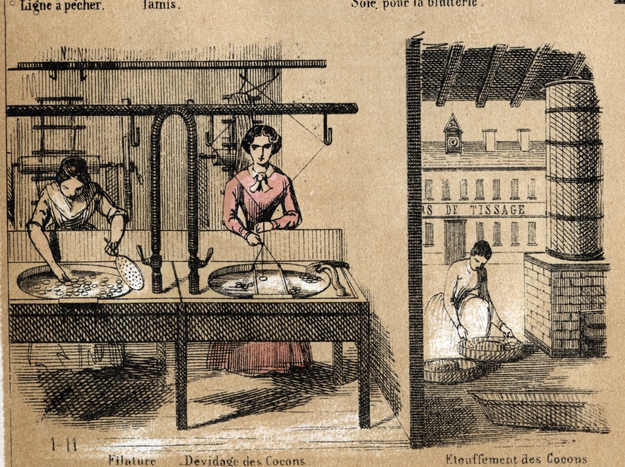 Description of the crop and silk products: workers spinning silk, removing or smothering cocoons. Plate “” la soie”” in “” les Recreations instructives”” Synoptique painting by Jules DELBRUCK, engraving from 1860. Private collection. av French School