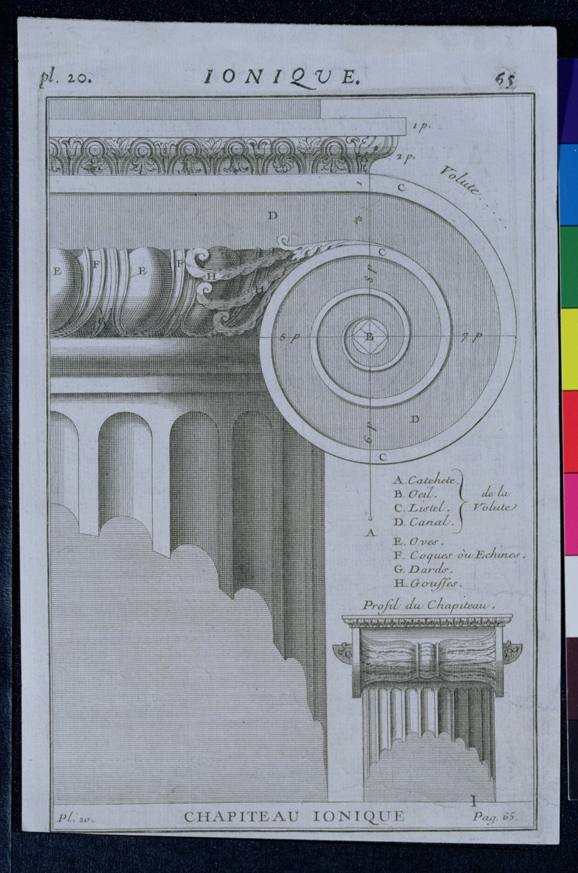 Design for hovedstaden til en ionisk kolonne av French School