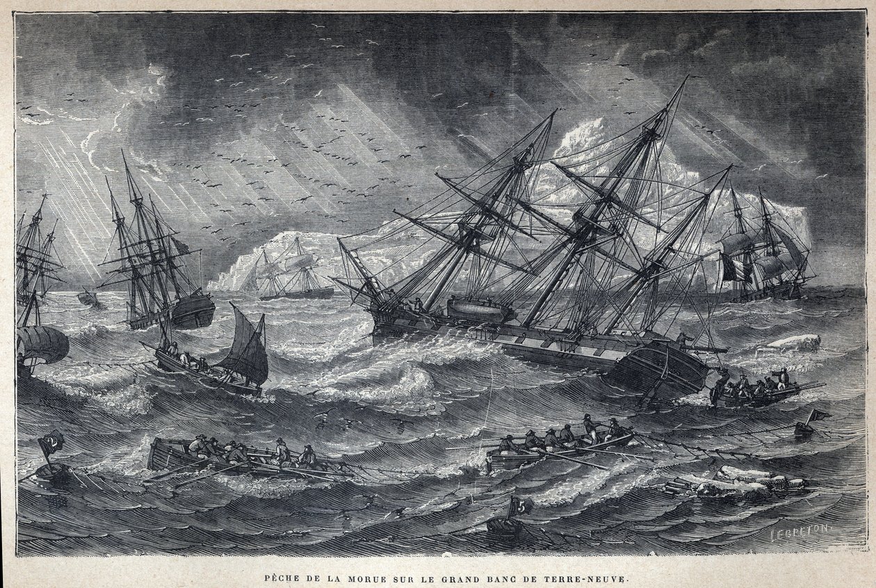 Discovered Canada: Cod fishing on the Grand Bank of Newfoundland, Newfoundland. Engraving from the end of the 19th century in “La nouvelle France” by Eugene Guenin. av French School