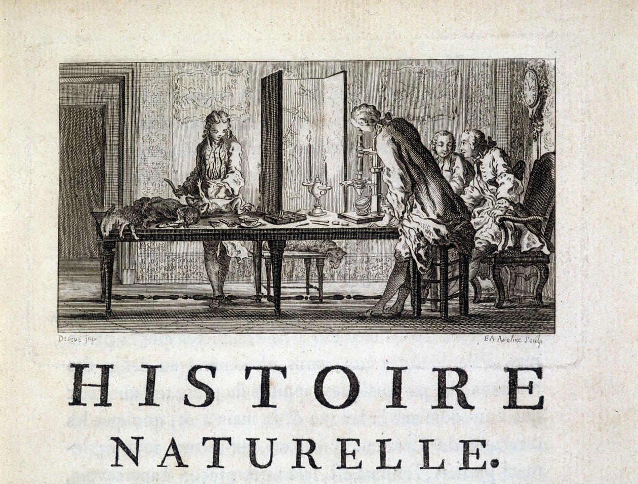 Disseksjon av dyr - i "" Naturlig, generell og spesiell historie"" av Buffon av French School
