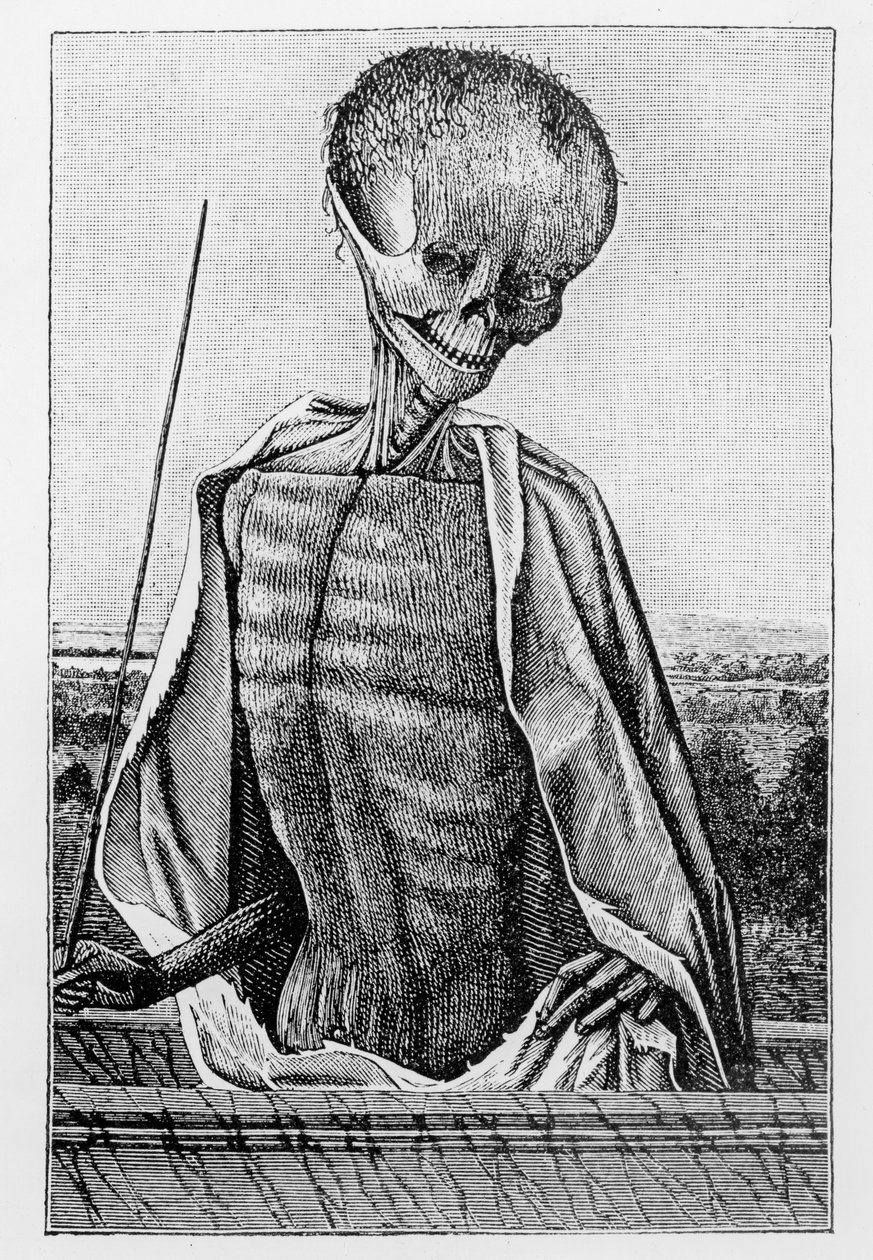 Doctor Death, fra en timebok, illustrasjon fra vitenskap og litteratur i middelalderen og renessansen, skrevet og gravert av Paul Lacroix, 1878 av French School