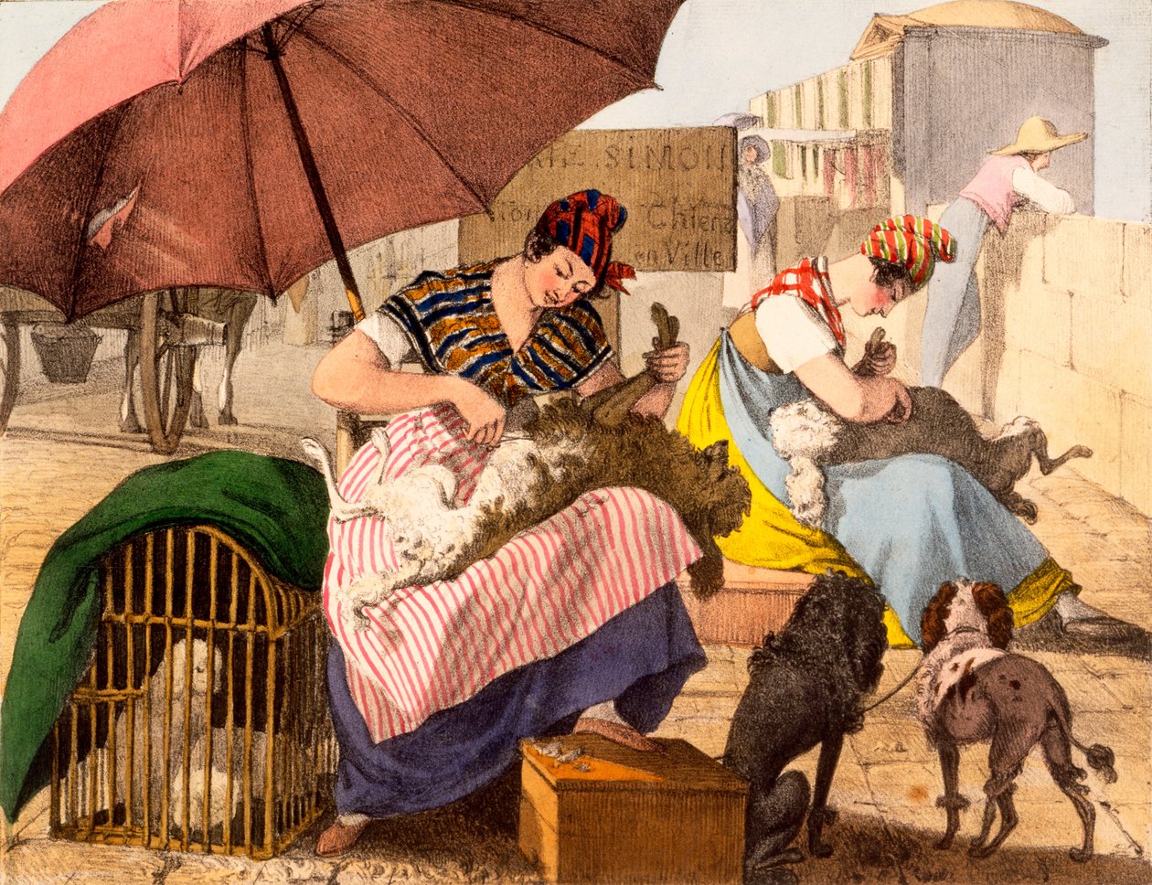 Hundefrisør, 1820 av French School