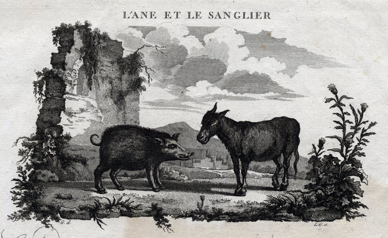Esel og villsvin. Fabel om Esope. (Gresk forfatter Esopo eller Ecopus, 6. århundre f.Kr.) Skrevet av Guillaume Montfort og Gravees av Beauble i 1801. av French School