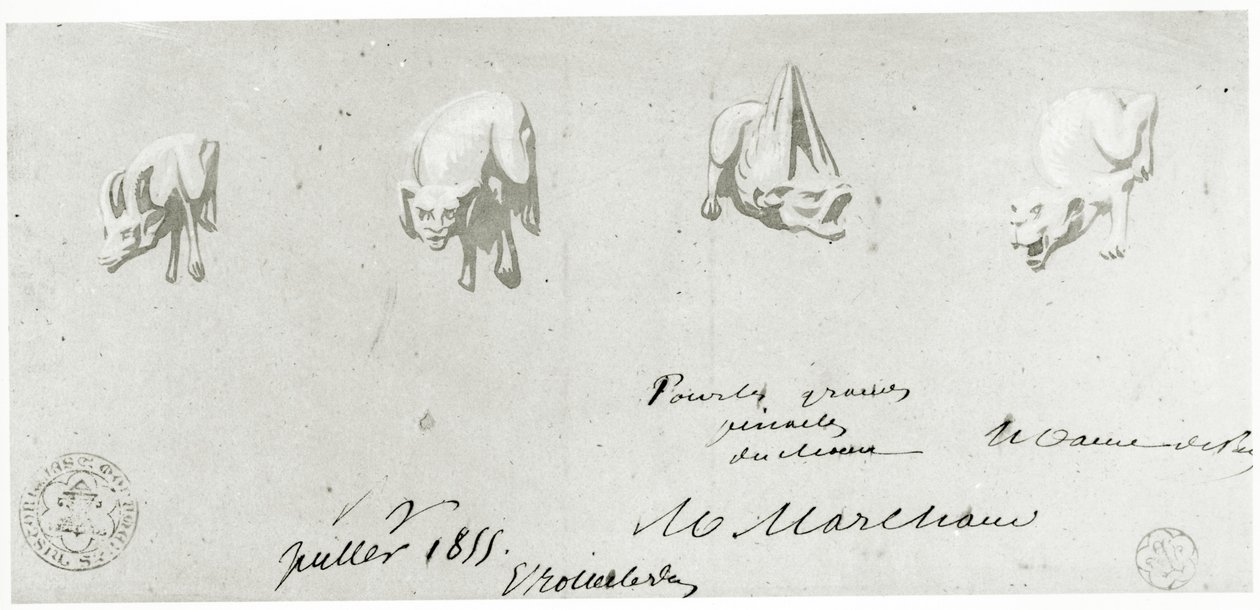Tegning for restaurering av gargoylene til Notre Dame, 1855 av French School