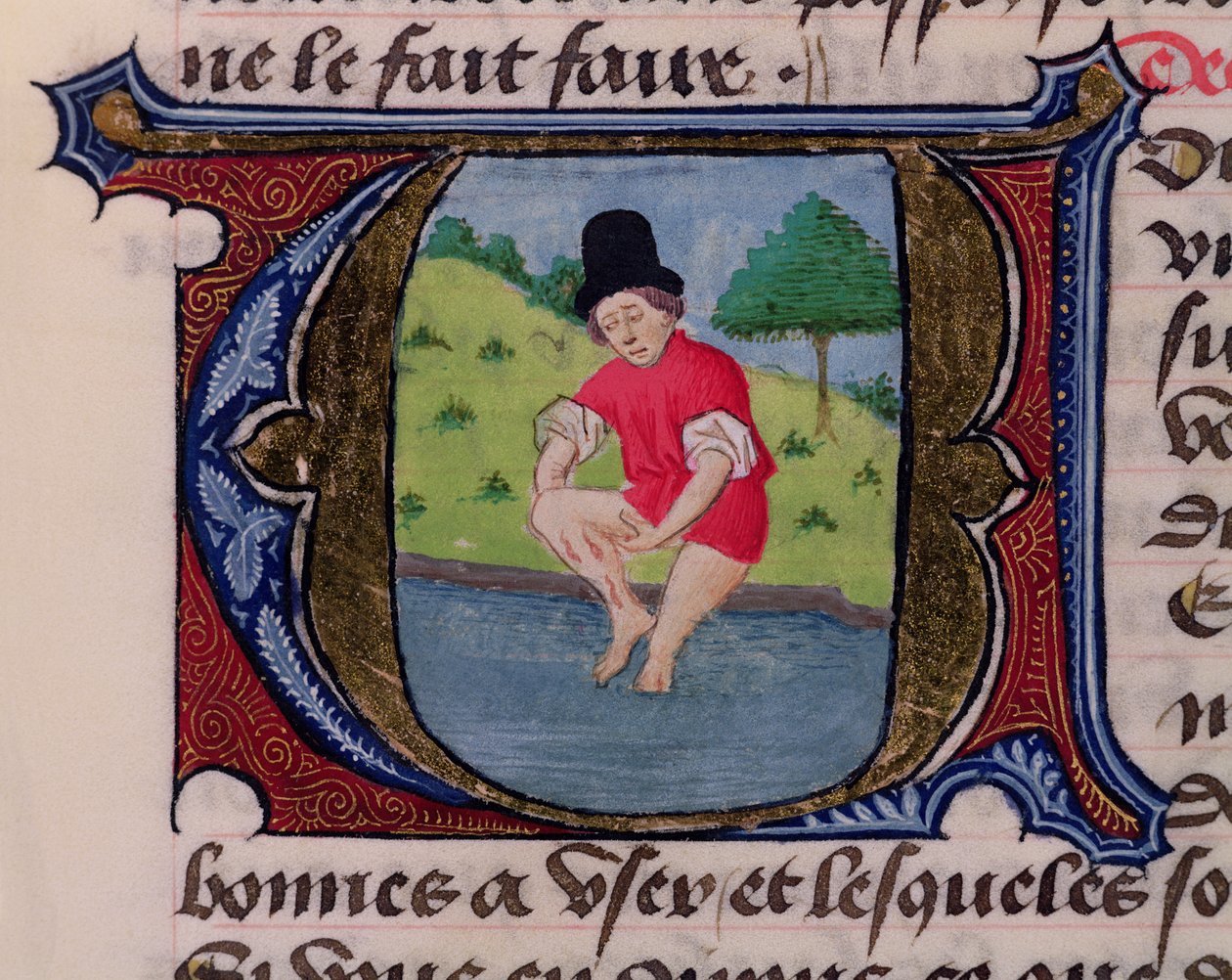 F.27v Leeching, fra Traite de Medecine av Aldebrande de Florence, 1356 av French School