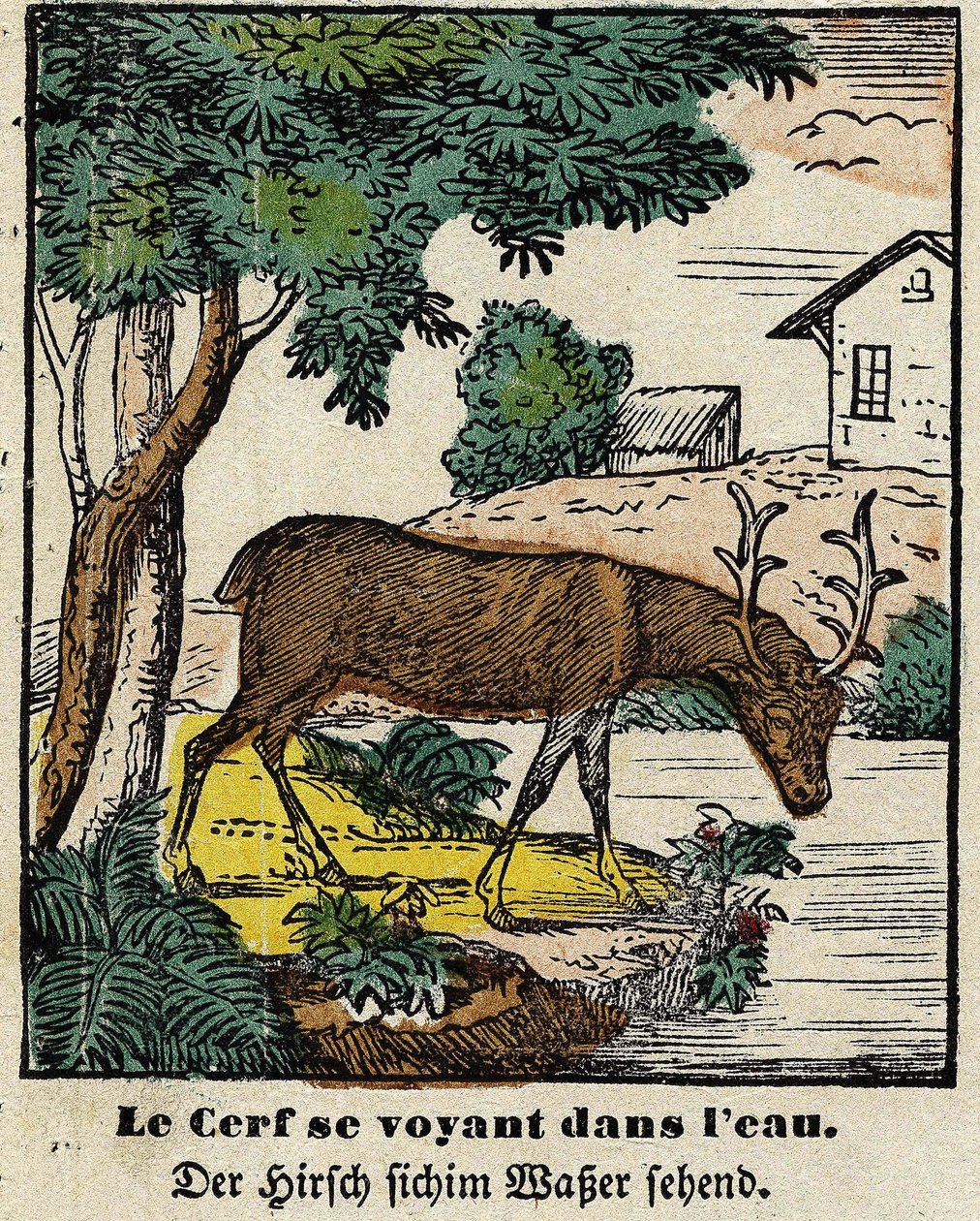 Fables de La Fontaine: hjorten ser seg selv i vannet. Bilde av Epinal, første halvdel av 1800-tallet av French School